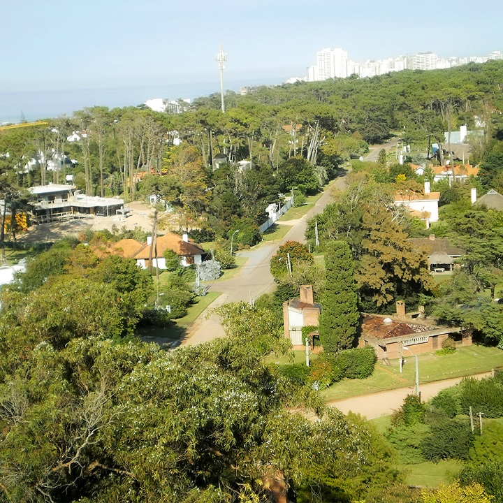 punta del este